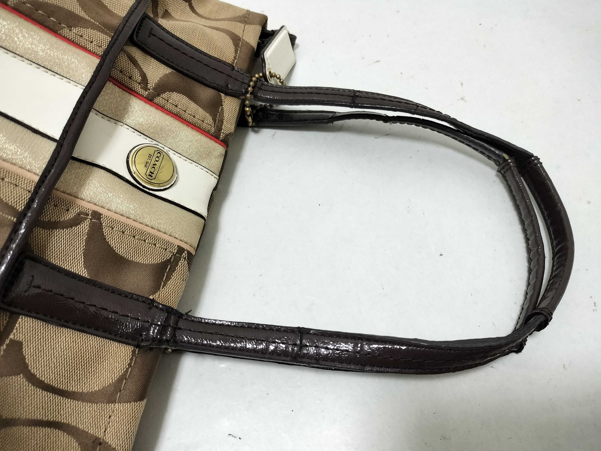 COACH Signature Tote Bag