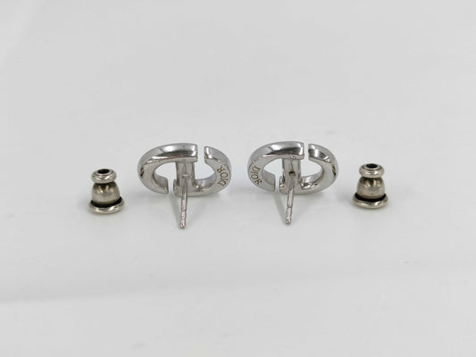 Dior Earrings Earrings