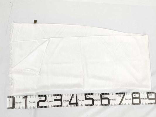 LOUIS VUITTON Monogram Stole White with Tag Other Apparel