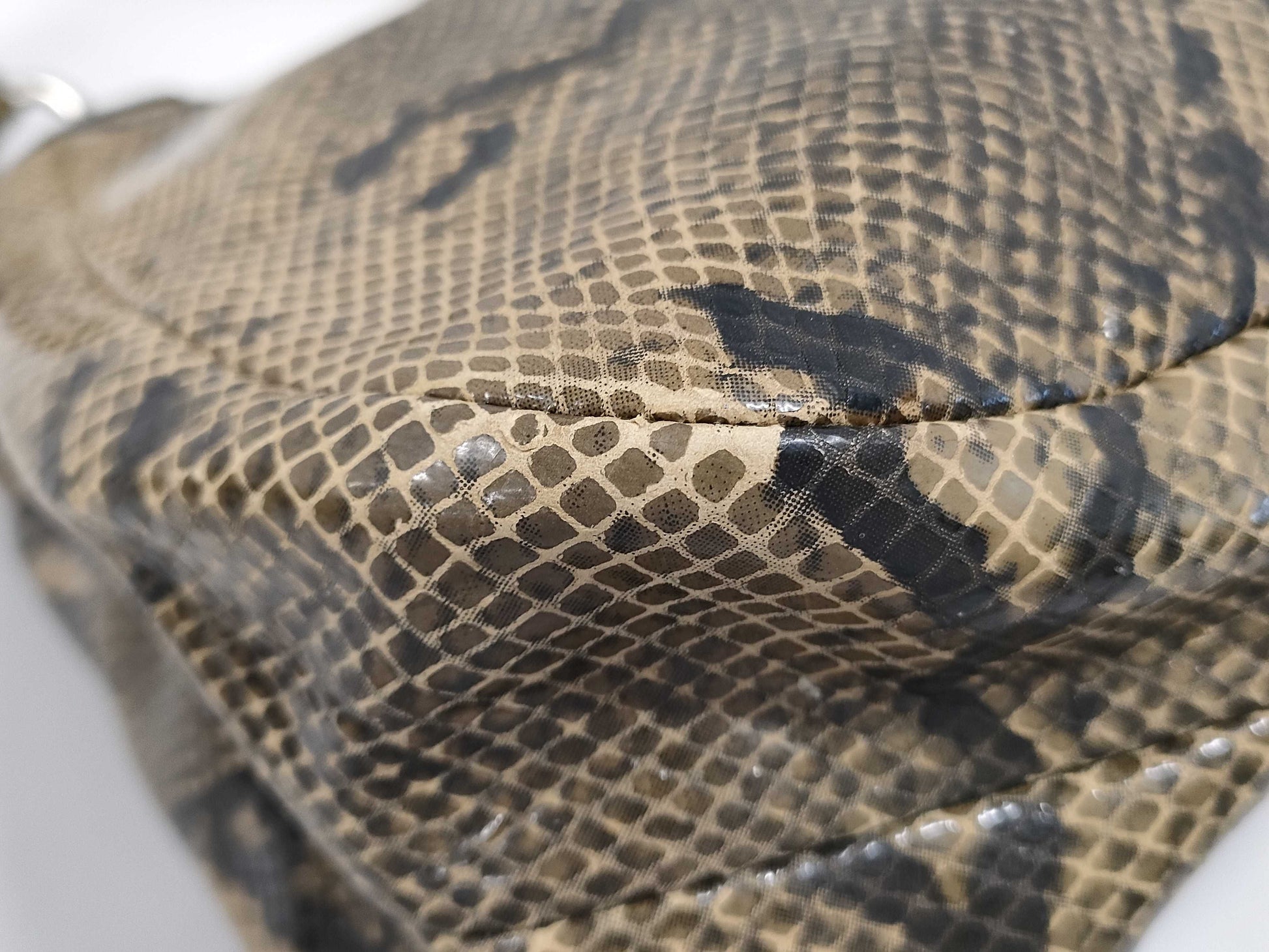 COACH Soho Python Handbag