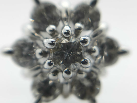 D0.15ct D0.15ct PT900 1.9g Earrings