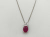 R1.32ct D0.16ct PT900/850 3.9g Necklace