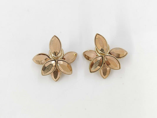 Dior GP Earrings
