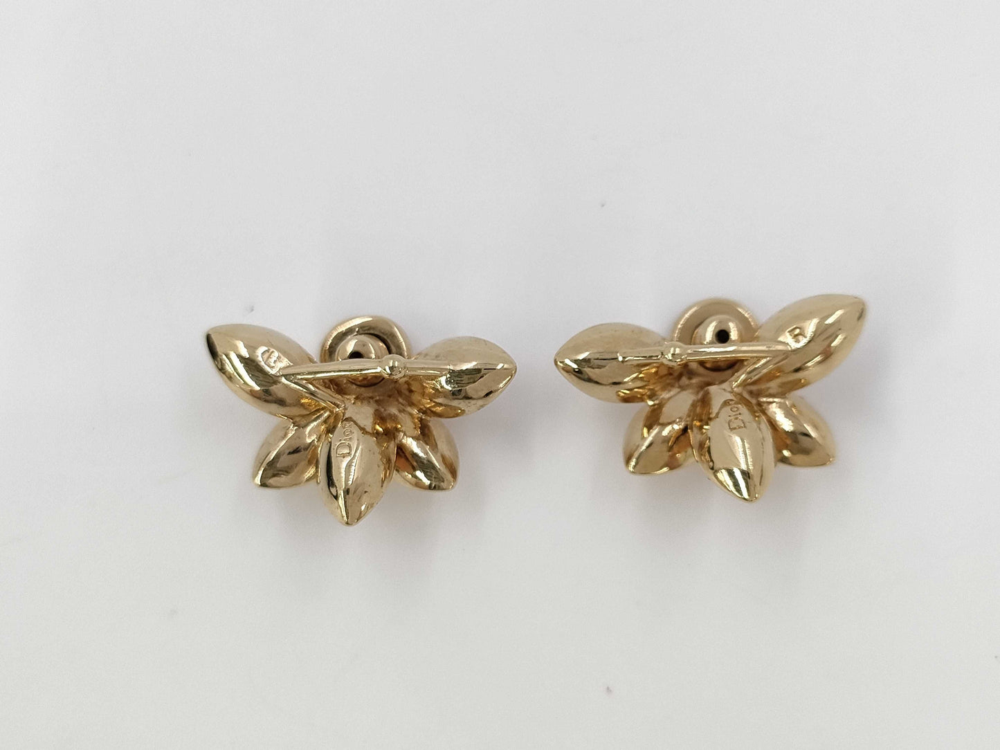 Dior GP Earrings