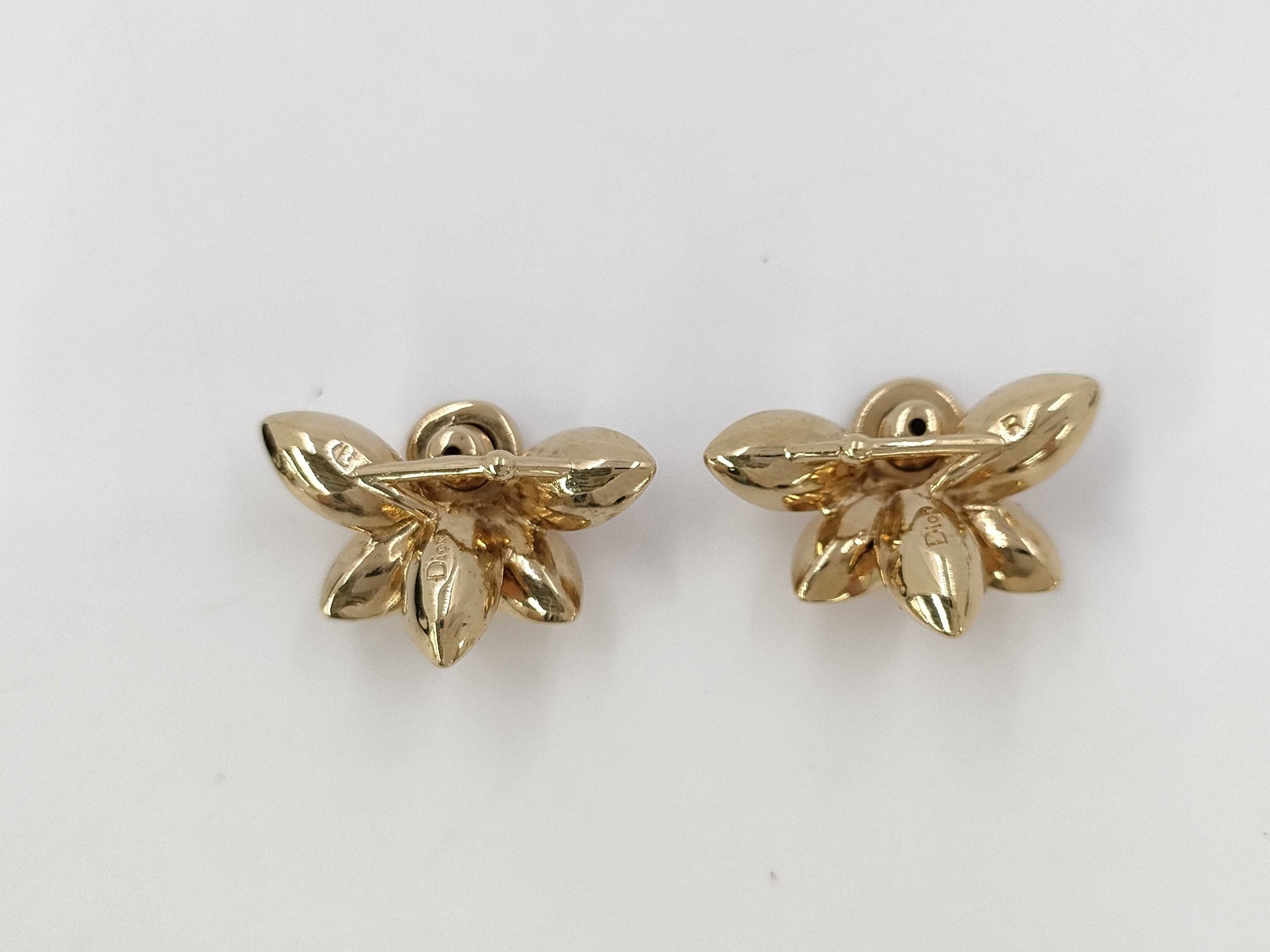 Dior GP Earrings