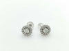 D0.15/0.15ct Melee Diamond PT900 2.4g Earrings