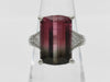Bicolor Tourmaline 8.70ct D0.52ct PT900 11.4g Ring