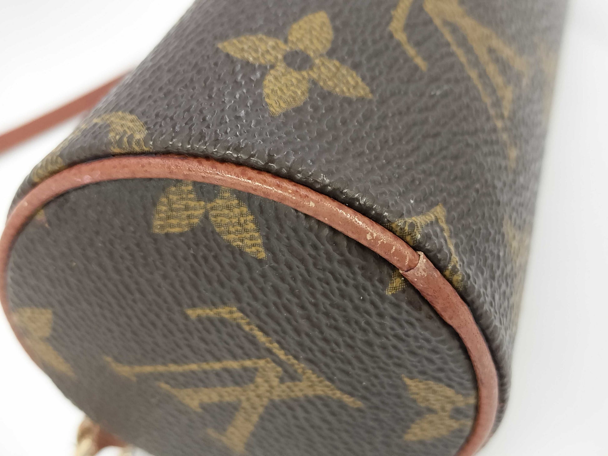 LOUIS VUITTON Louis Vuitton Papillon Pouch Pouch
