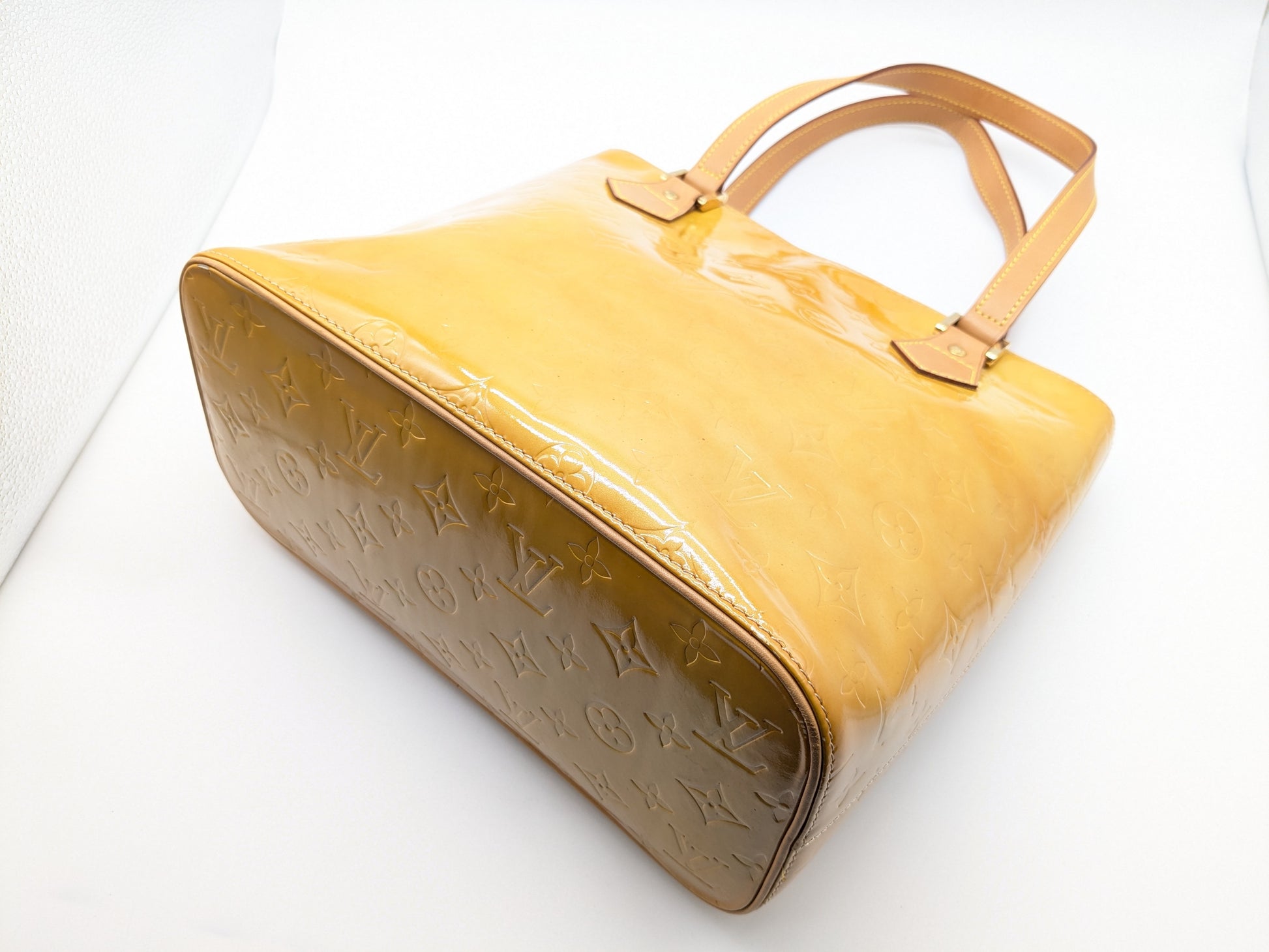 LOUIS VUITTON LV Verni Houston Handbag