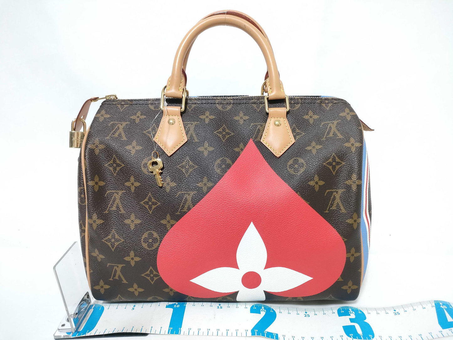 LOUIS VUITTON SPEEDY25 Shoulder Bag/Boston Bag