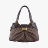 LOUIS VUITTON Sistine PM Evene Damier Canvas N41542FL3009 Tote Bag