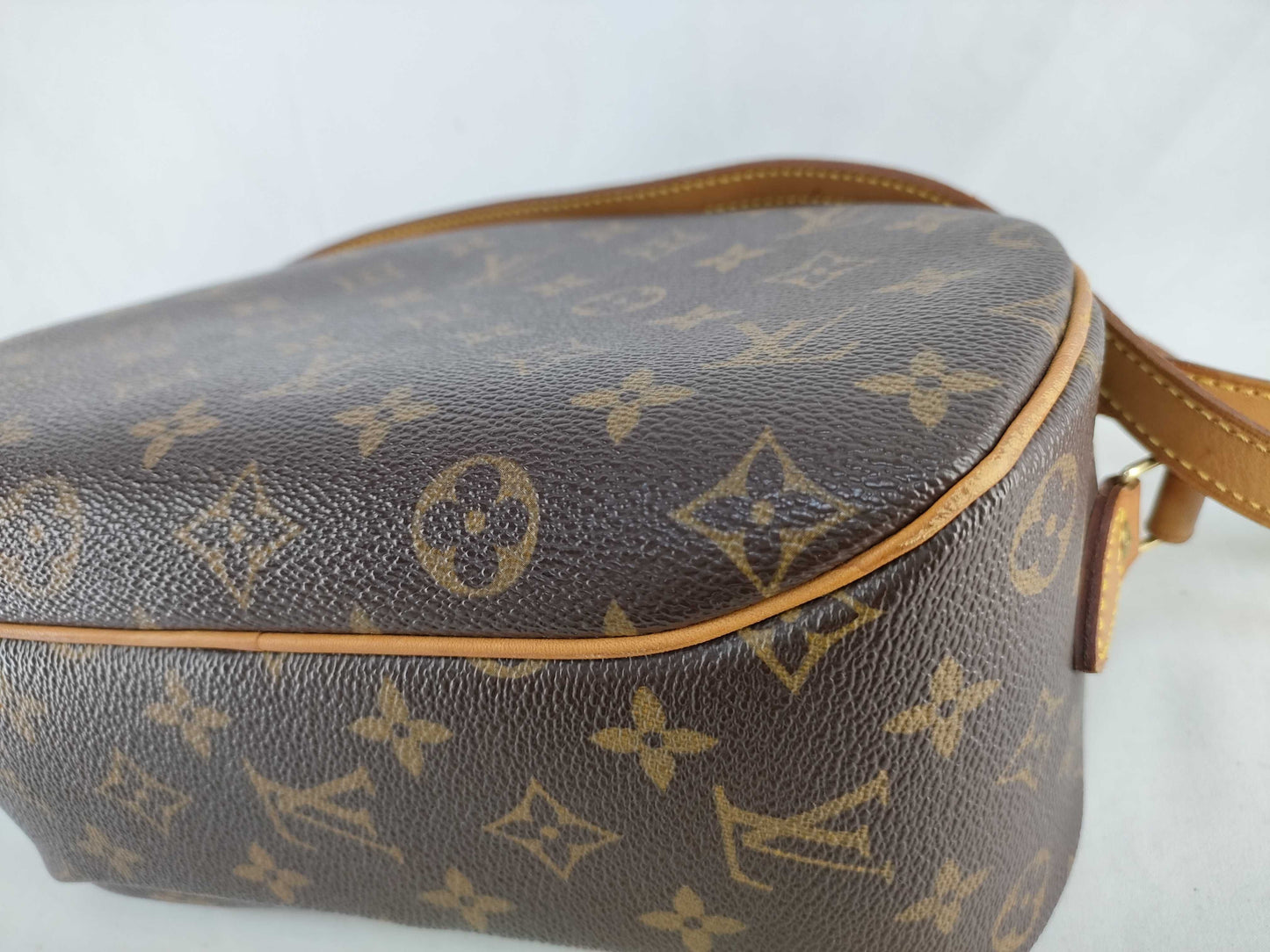 LOUIS VUITTON Monogram LV Monogram Blower M51221/BA0073 Shoulder Bag