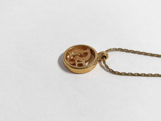 Dior Dior Necklace Gold Color Necklace