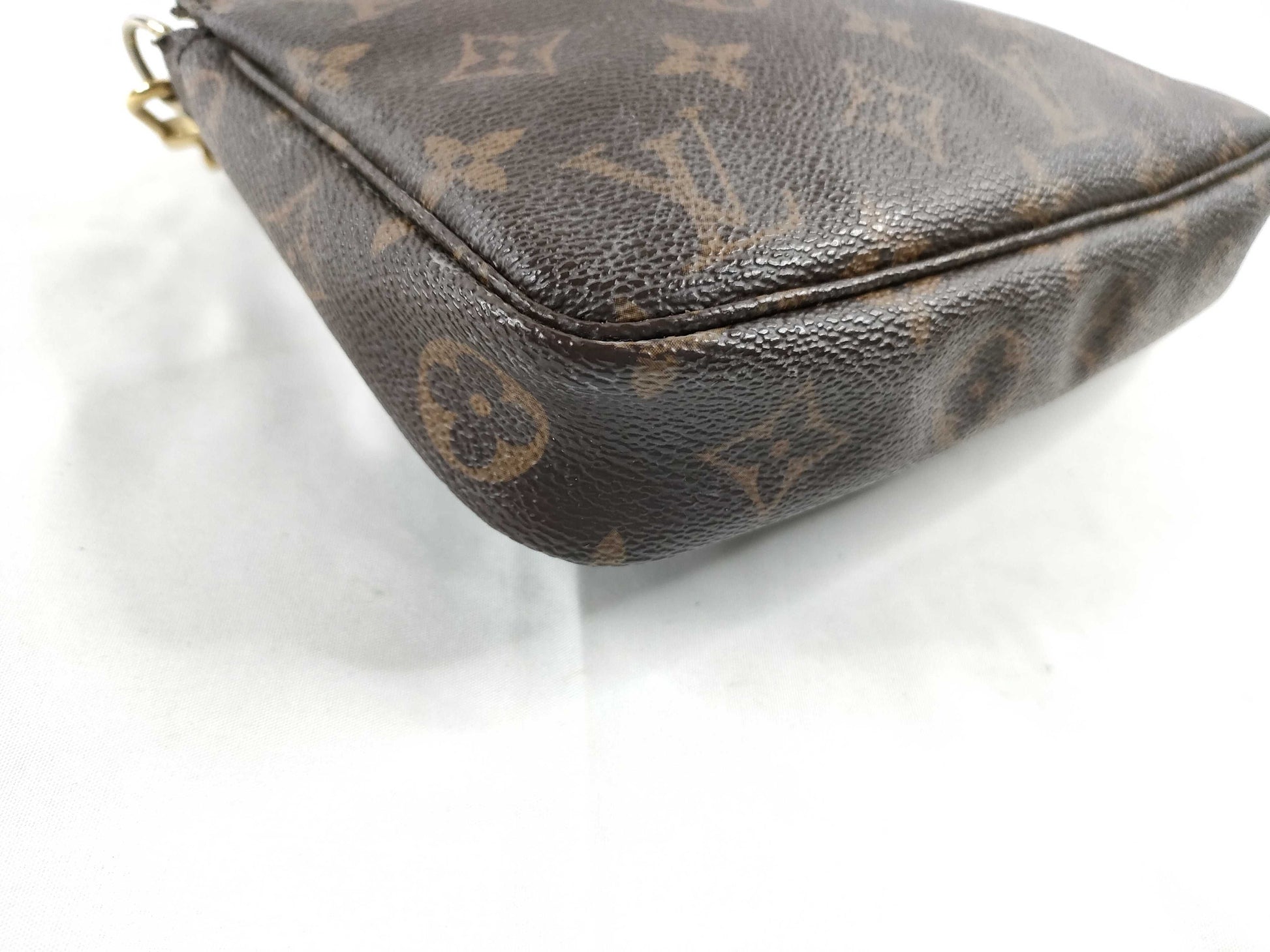 LOUIS VUITTON Monogram LV Accessoires Handbag
