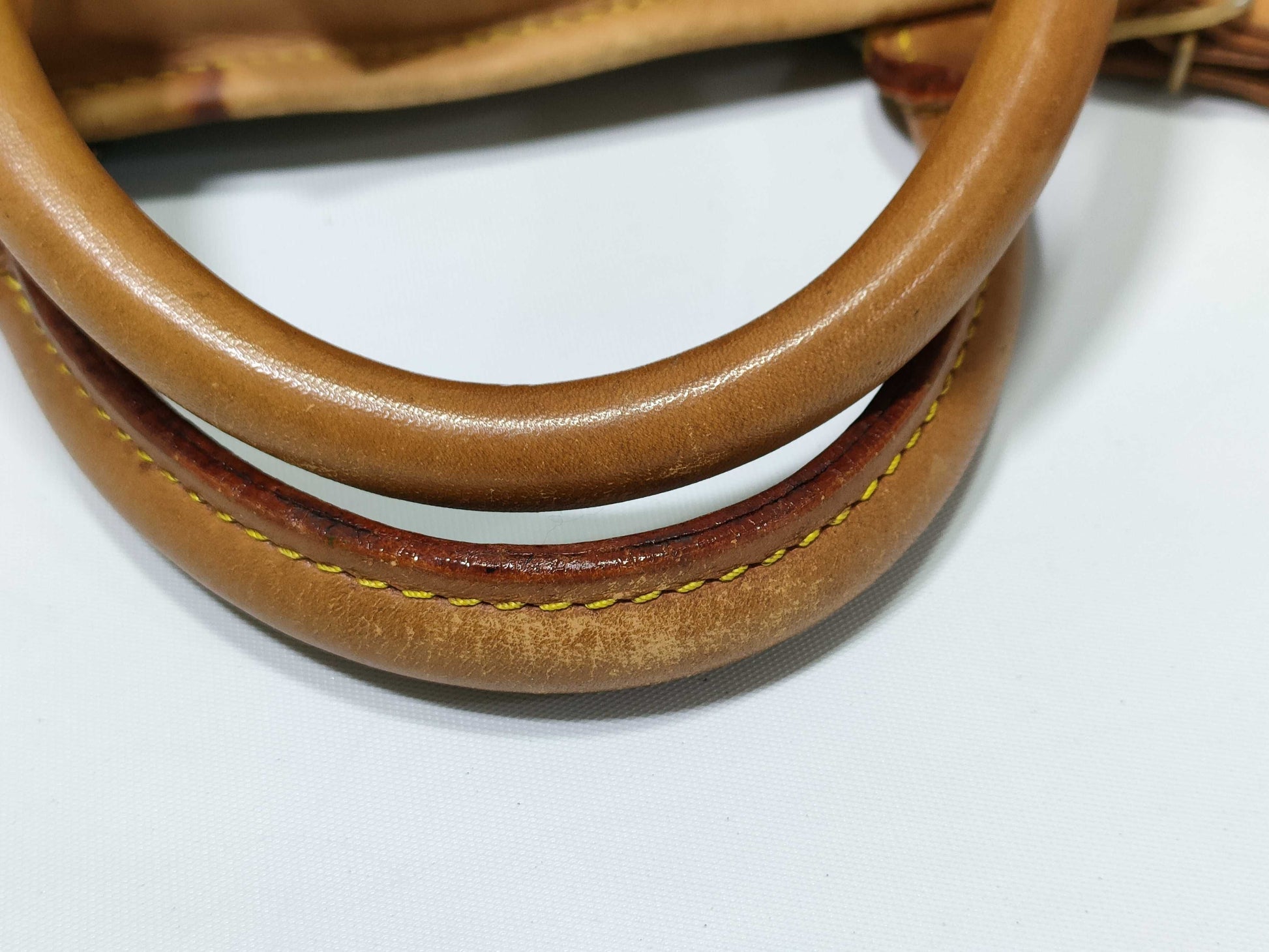 LOUIS VUITTON Monogram Vuitton Garment Case Bag