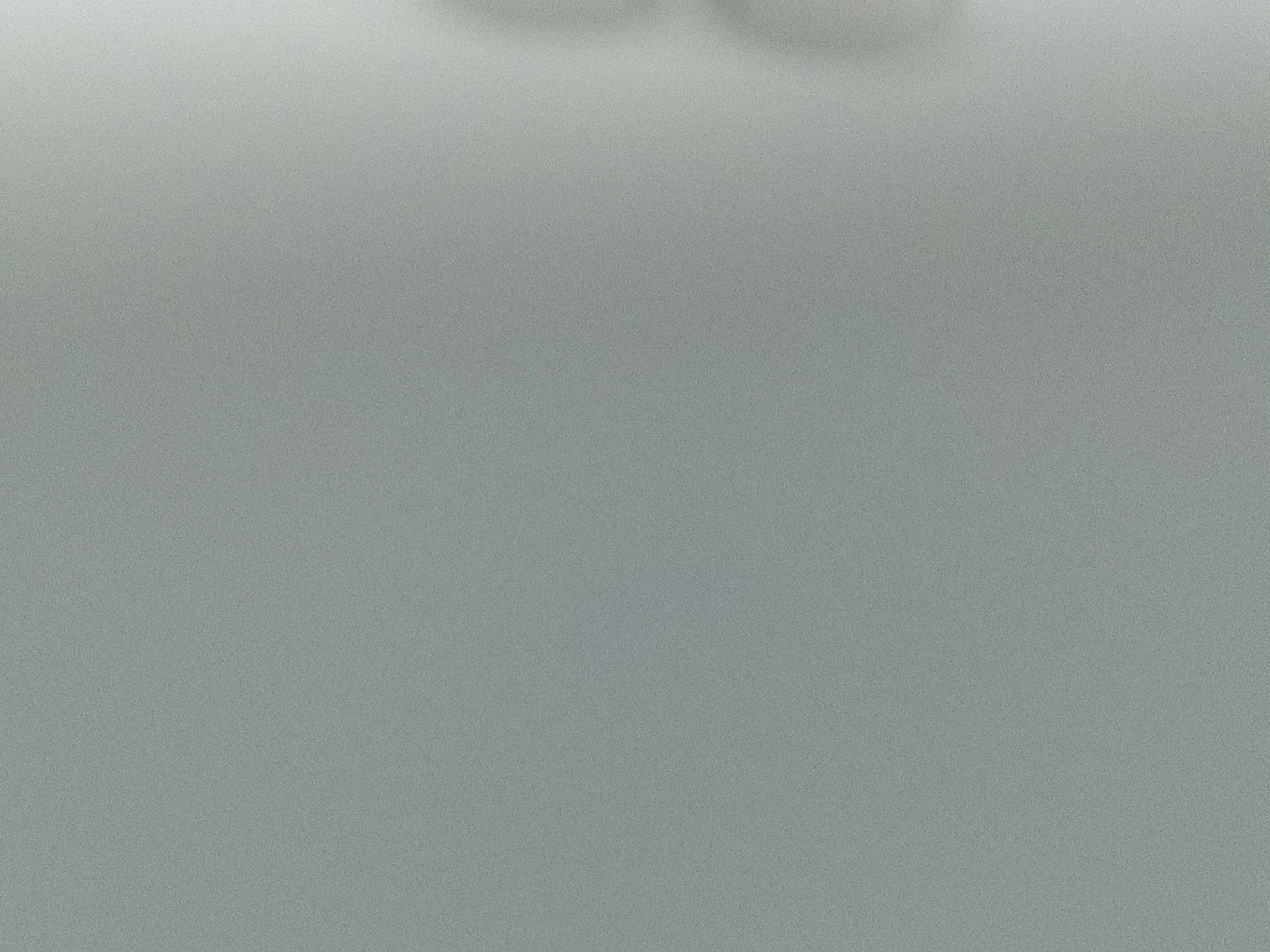 COACH Coach Earrings with Box Earrings