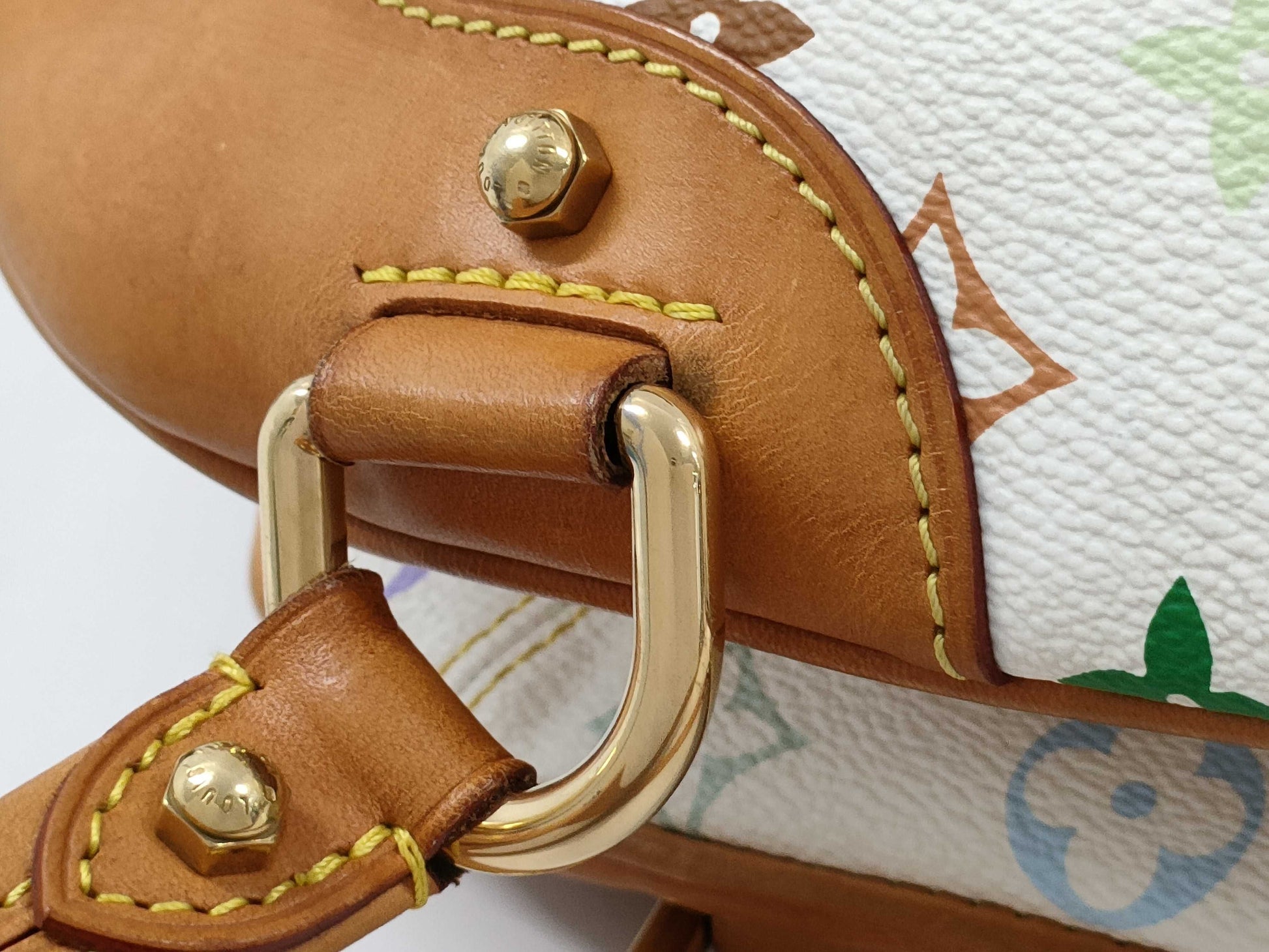 LOUIS VUITTON Monogram Multicolor Claudia Bag