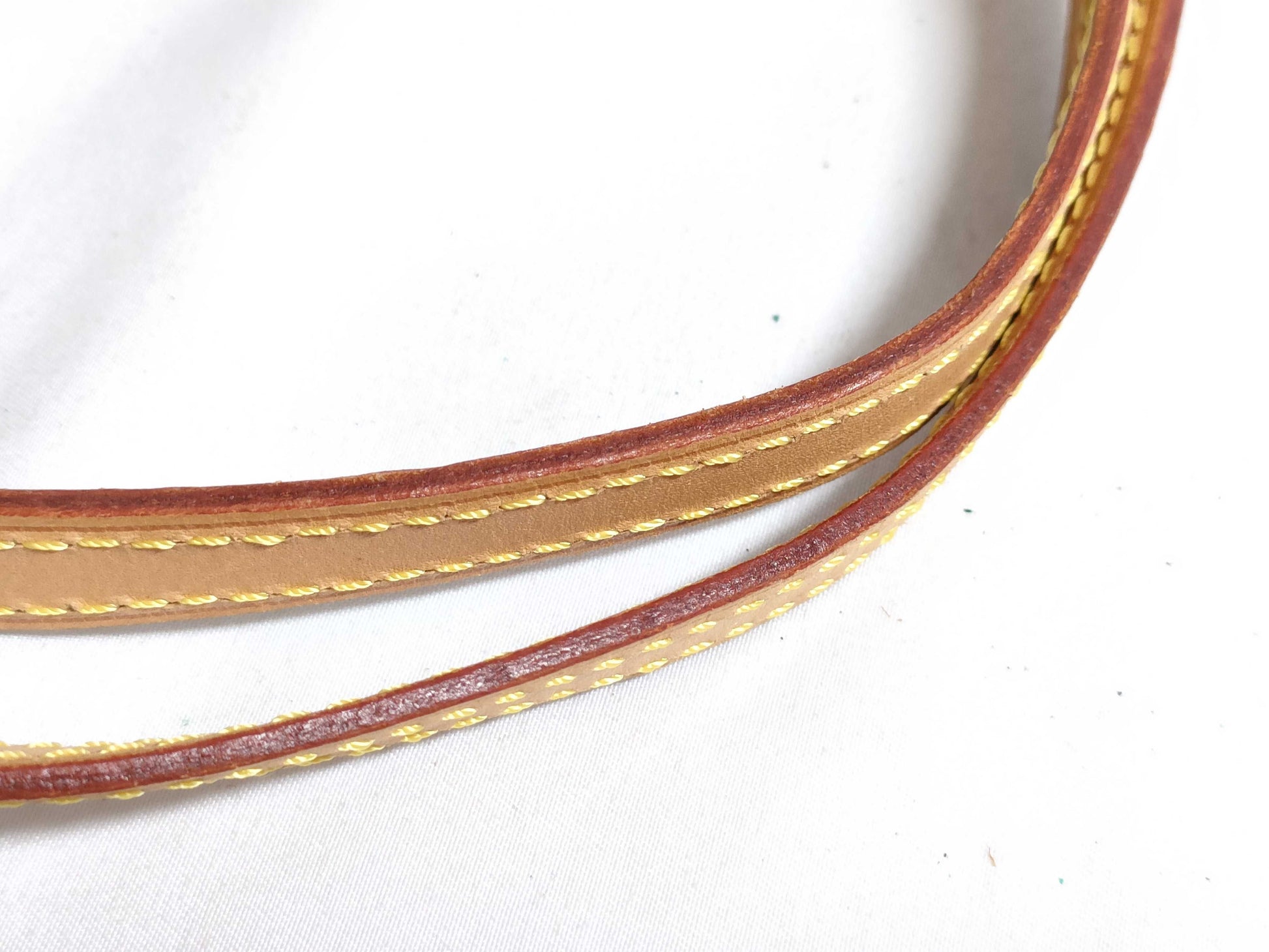 LOUIS VUITTON Verni LV Bag Handbag