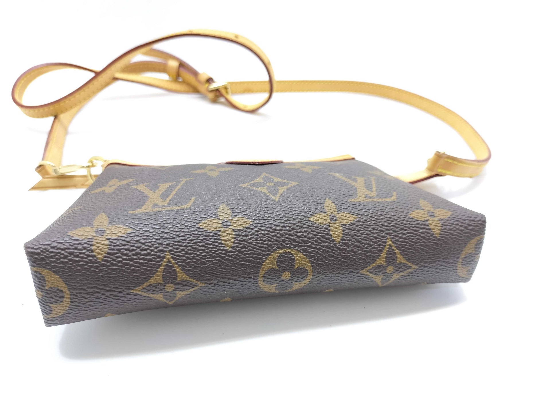 LOUIS VUITTON Monogram Monogram Mini Pochette Delightful Pouch