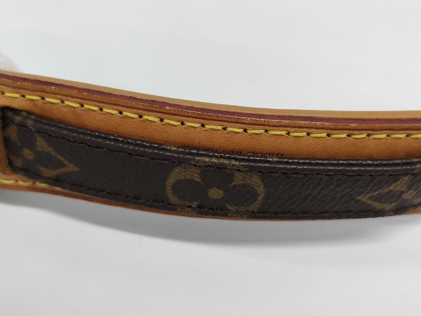 LOUIS VUITTON Vuitton Monogram Amazon Shoulder Bag