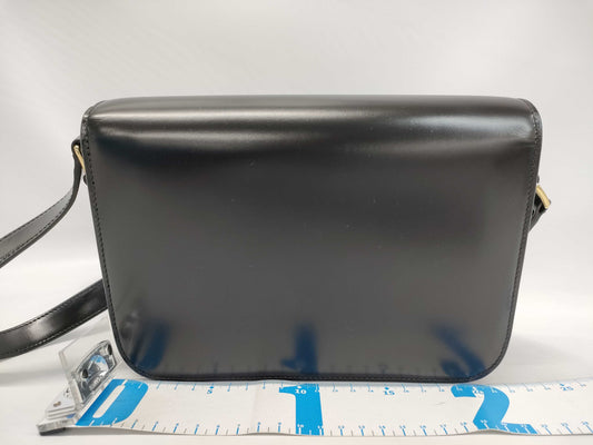 CELINE Triomphe Medium Shoulder Bag 187363BF4.38NO Shiny Calfskin Shoulder Bag