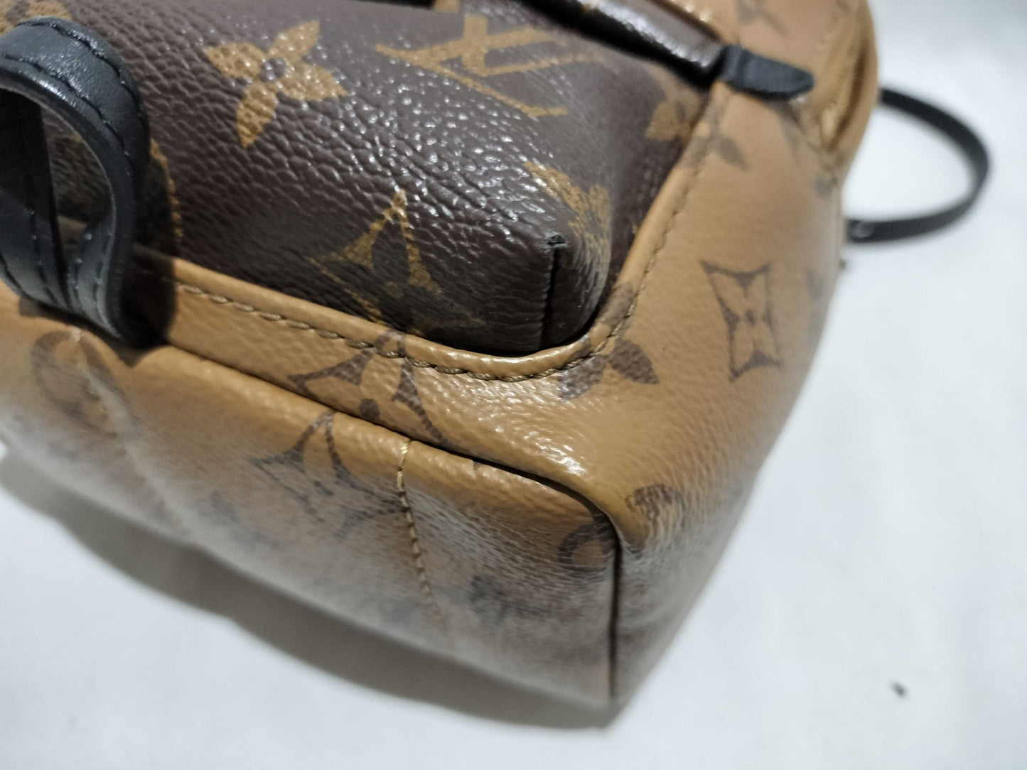 LOUIS VUITTON Monogram Louis Vuitton Palm Springs Backpack