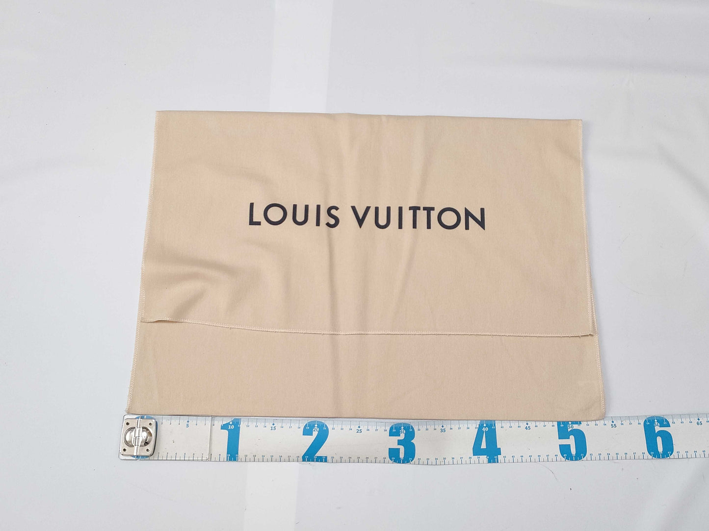 LOUIS VUITTON Vuitton Current storage bag Width approx. 55cm Back size 12 pieces Other accessories