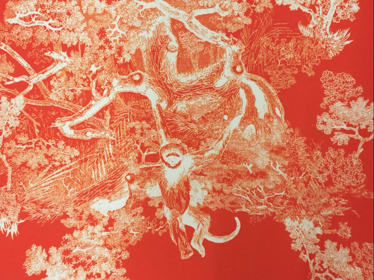 Dior Deck Chair Orange Chair