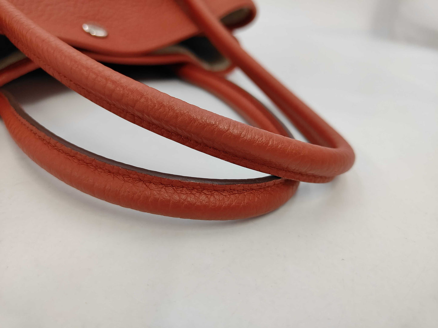 HERMES Negonda R Stamp Garden Birdie PM Capucines Tote Bag