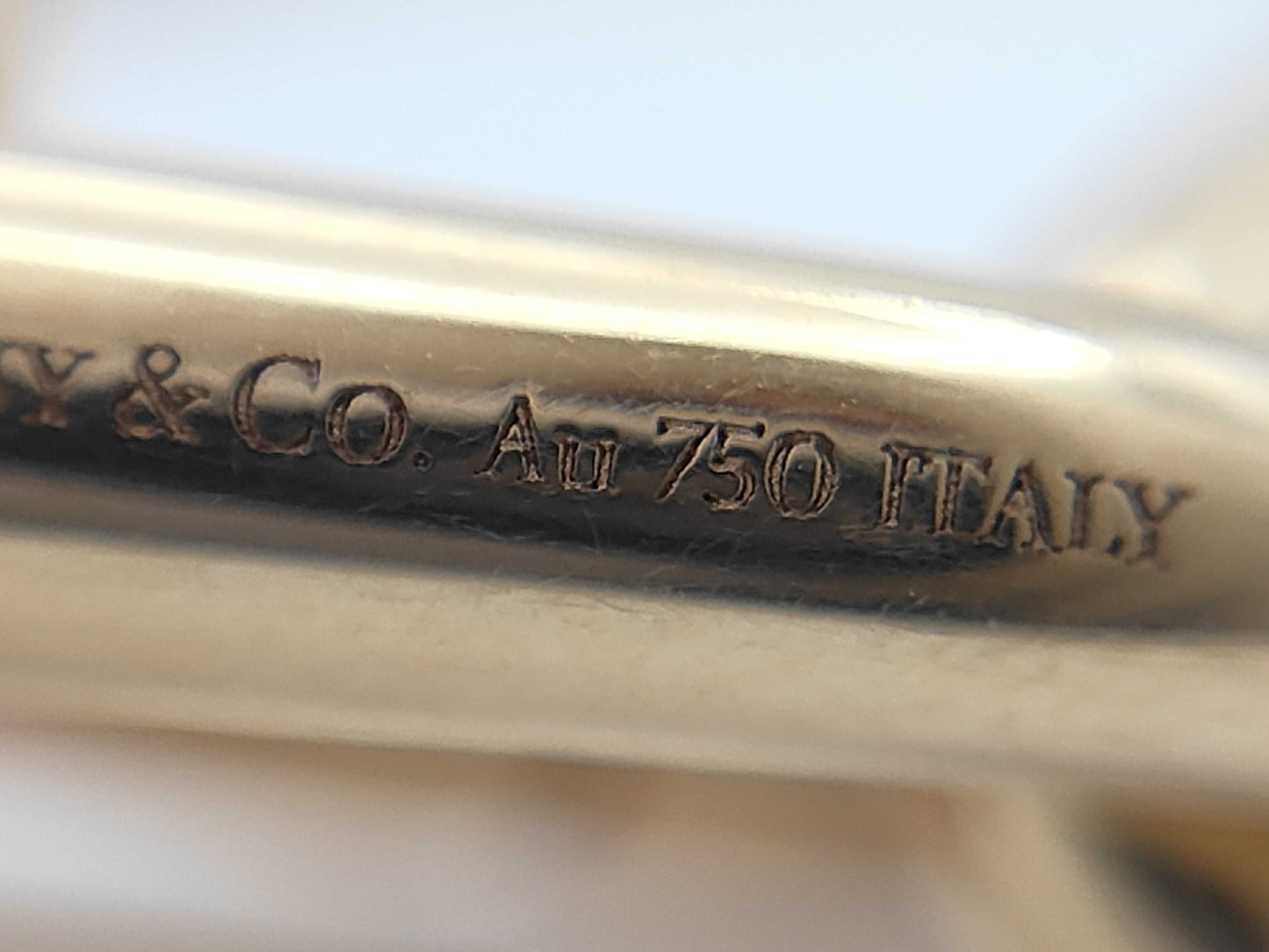 Tiffany & Co. Hardware Large Link PG 750 33.7g Bracelet/Bangle