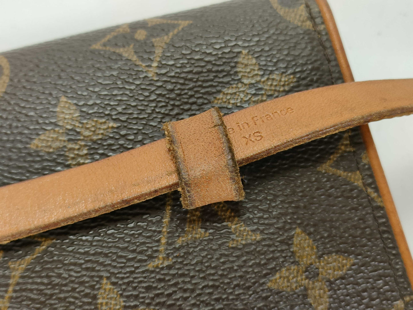 LOUIS VUITTON Monogram LV Florentine Waist Bag
