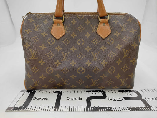 LOUIS VUITTON handbag