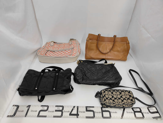 COACH 5-piece bag set
