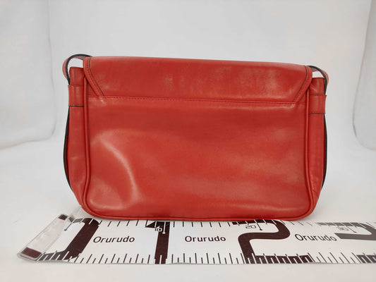 CELINE Leather Shoulder Bag with Carriage Hardware