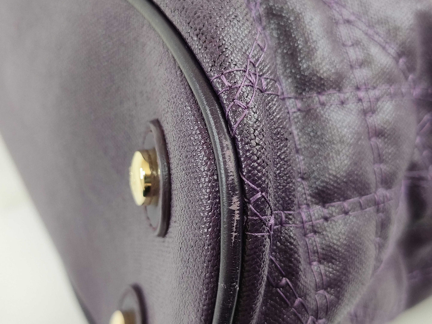 Dior Lady/PVC Canvas/Purple Handbag