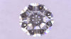 0.332ct F SI-1 VERY GOOD/GD/GD NONE NATURAL 4.33-4.43X2.78mm Loose Diamond