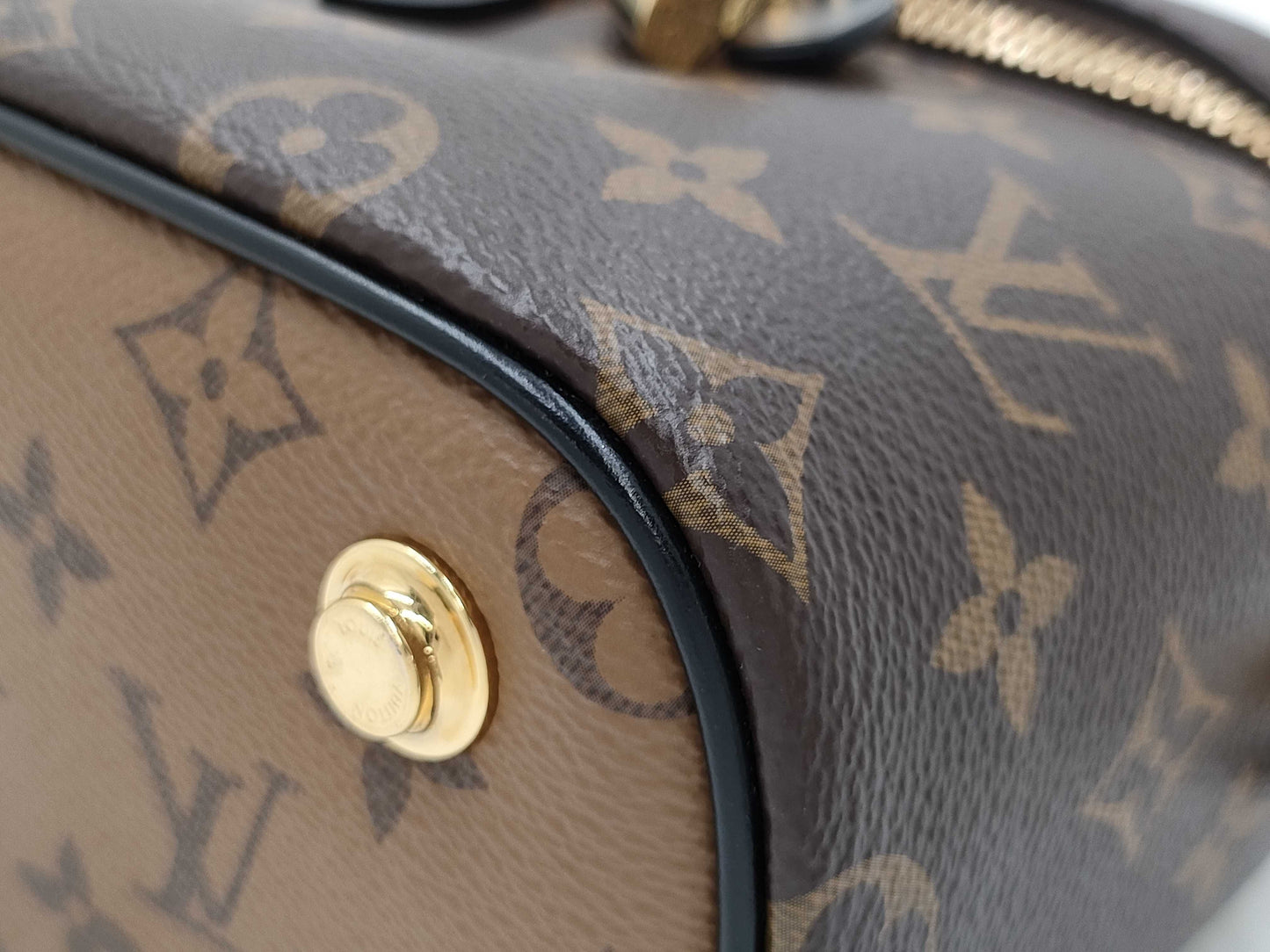 LOUIS VUITTON Monogram Monogram Reverse Vanity NV M45165 Bag