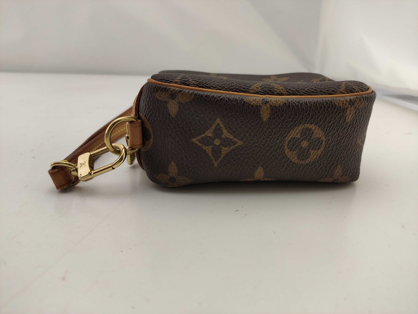 LOUIS VUITTON Monogram Truth Wapiti Pouch