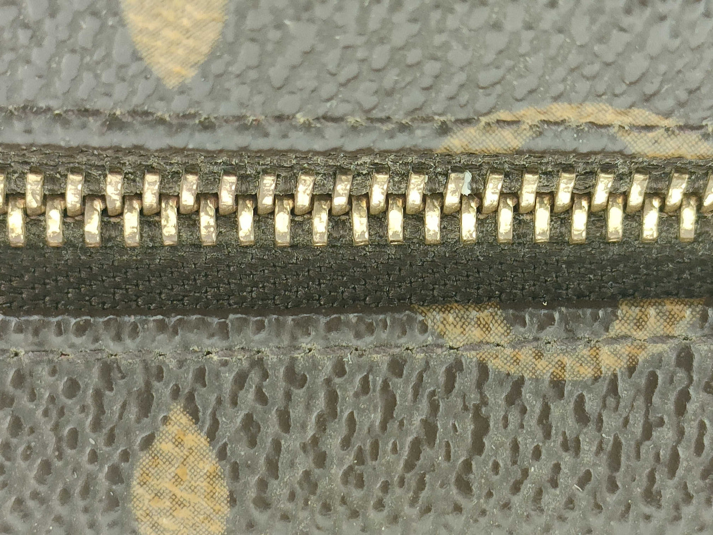 LOUIS VUITTON Monogram Truth Wapiti Pouch