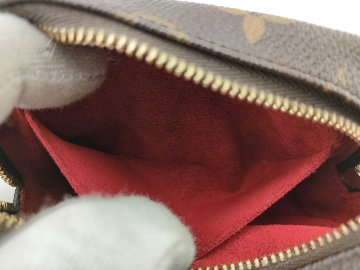 LOUIS VUITTON Monogram Truth Wapiti Pouch
