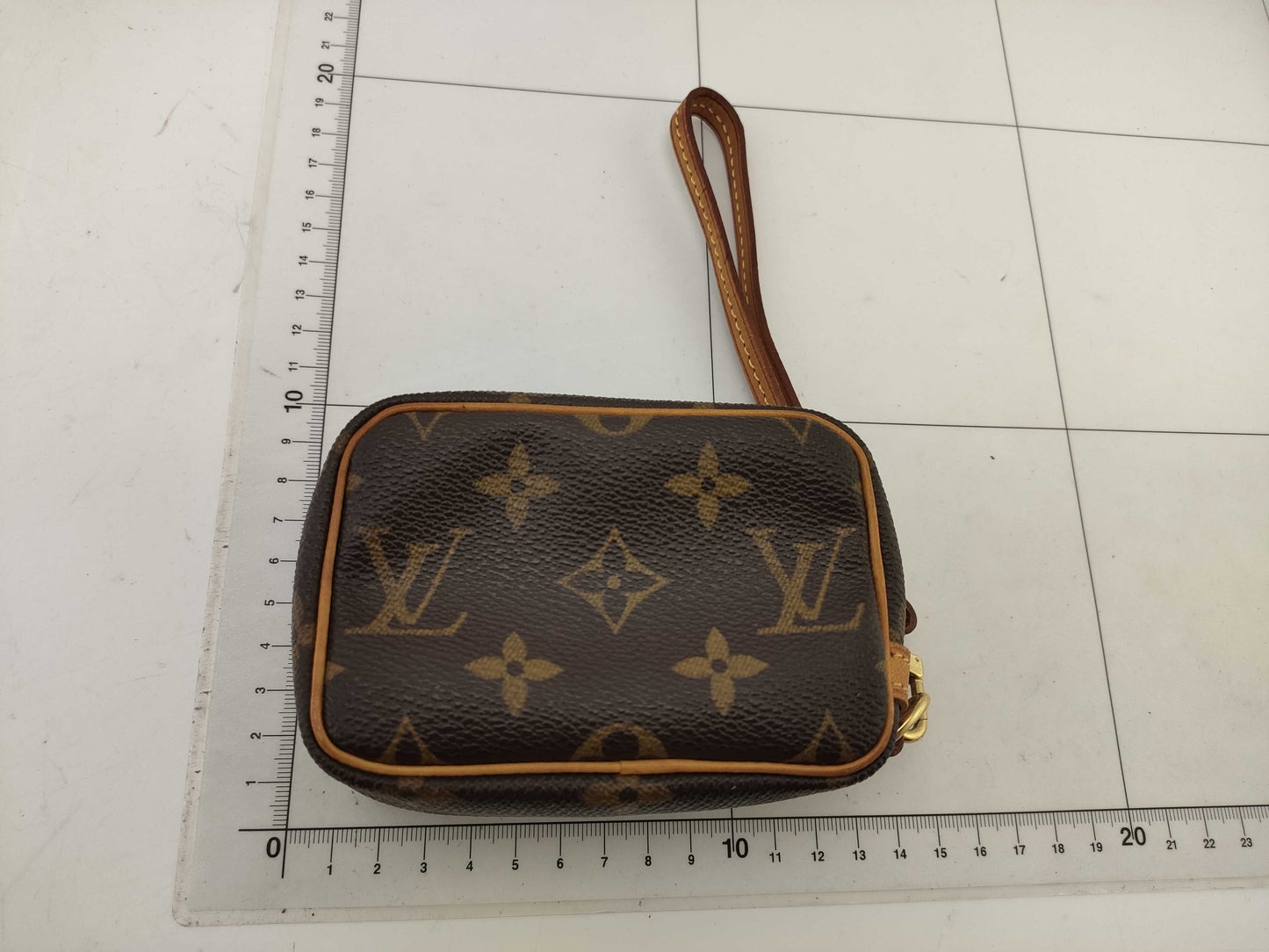 LOUIS VUITTON Monogram Truth Wapiti Pouch