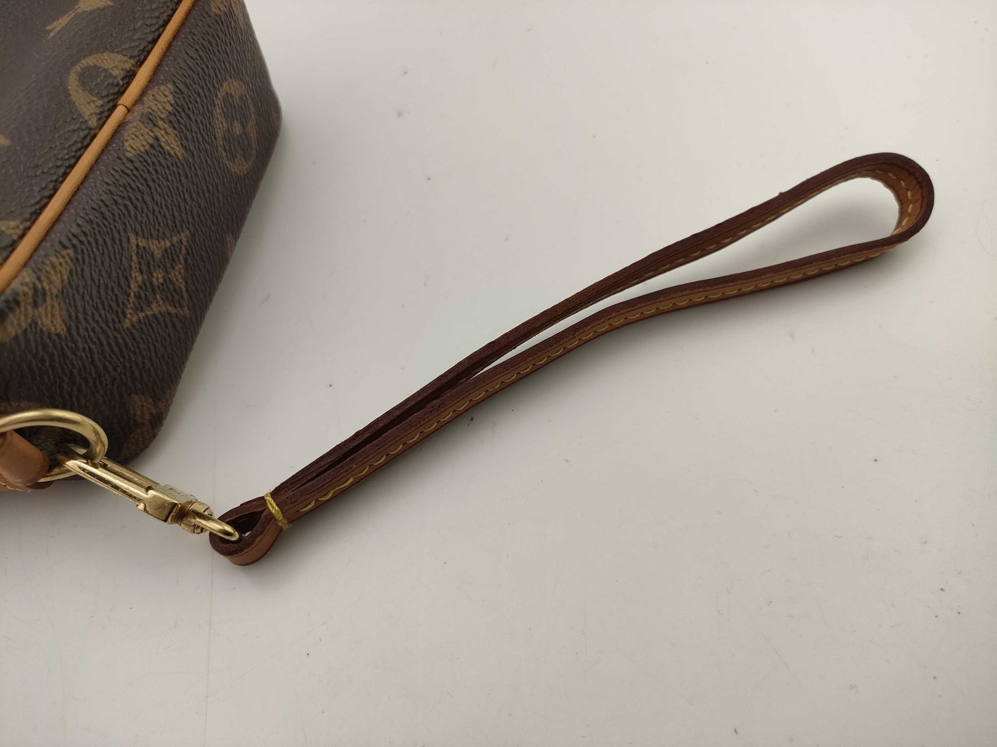 LOUIS VUITTON Monogram Truth Wapiti Pouch