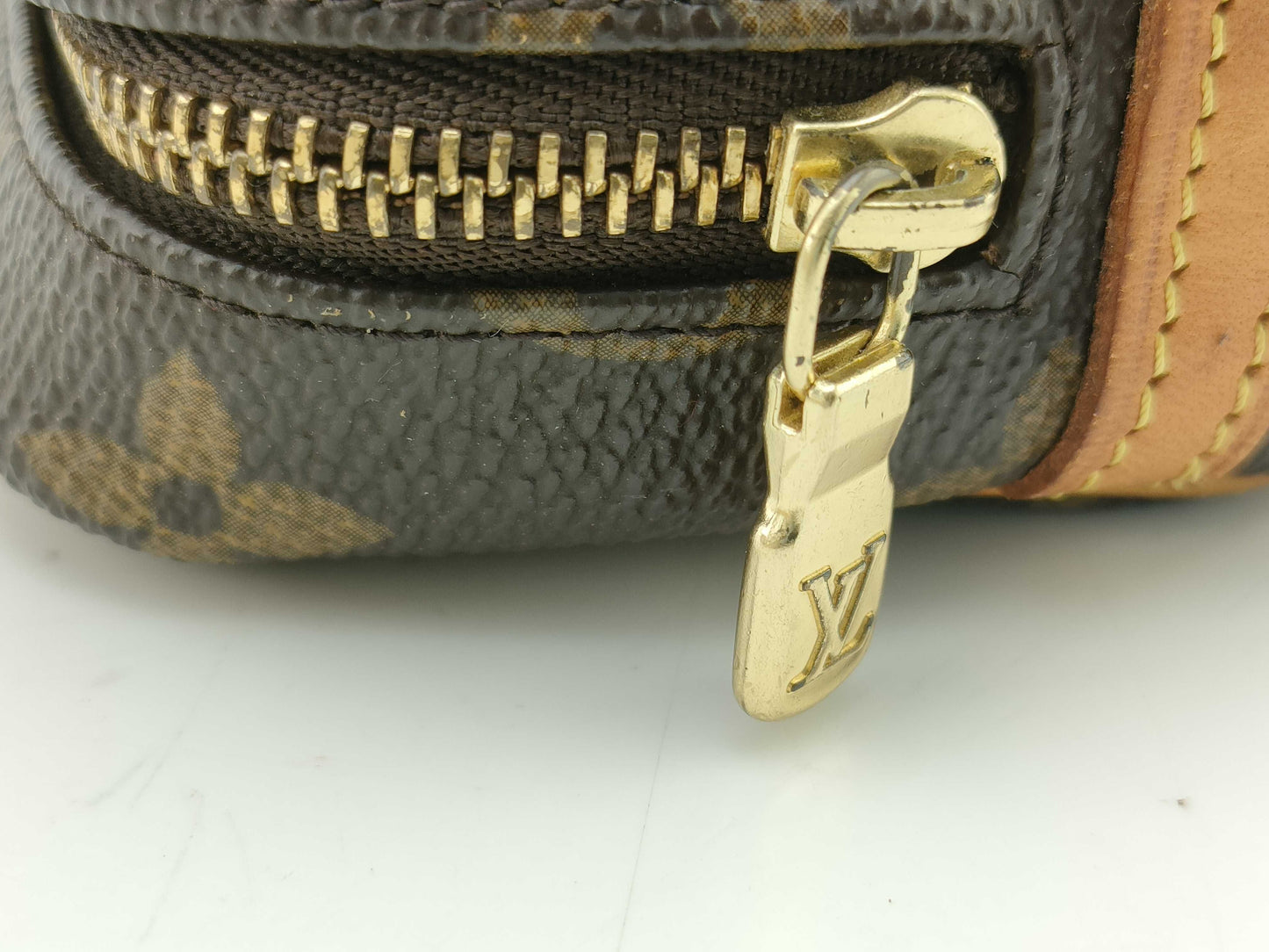 LOUIS VUITTON Monogram Truth Wapiti Pouch