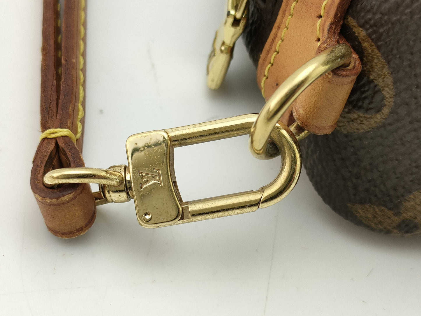 LOUIS VUITTON Monogram Truth Wapiti Pouch