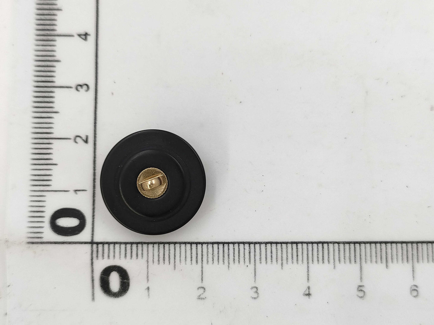 CHANEL Button Lion Black*Gold 1 Piece Other Accessories