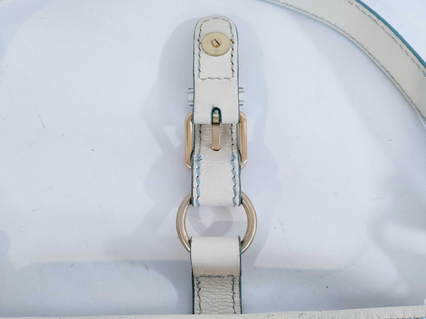 CELINE Triomphe Canvas Shoulder Bag Shoulder Bag