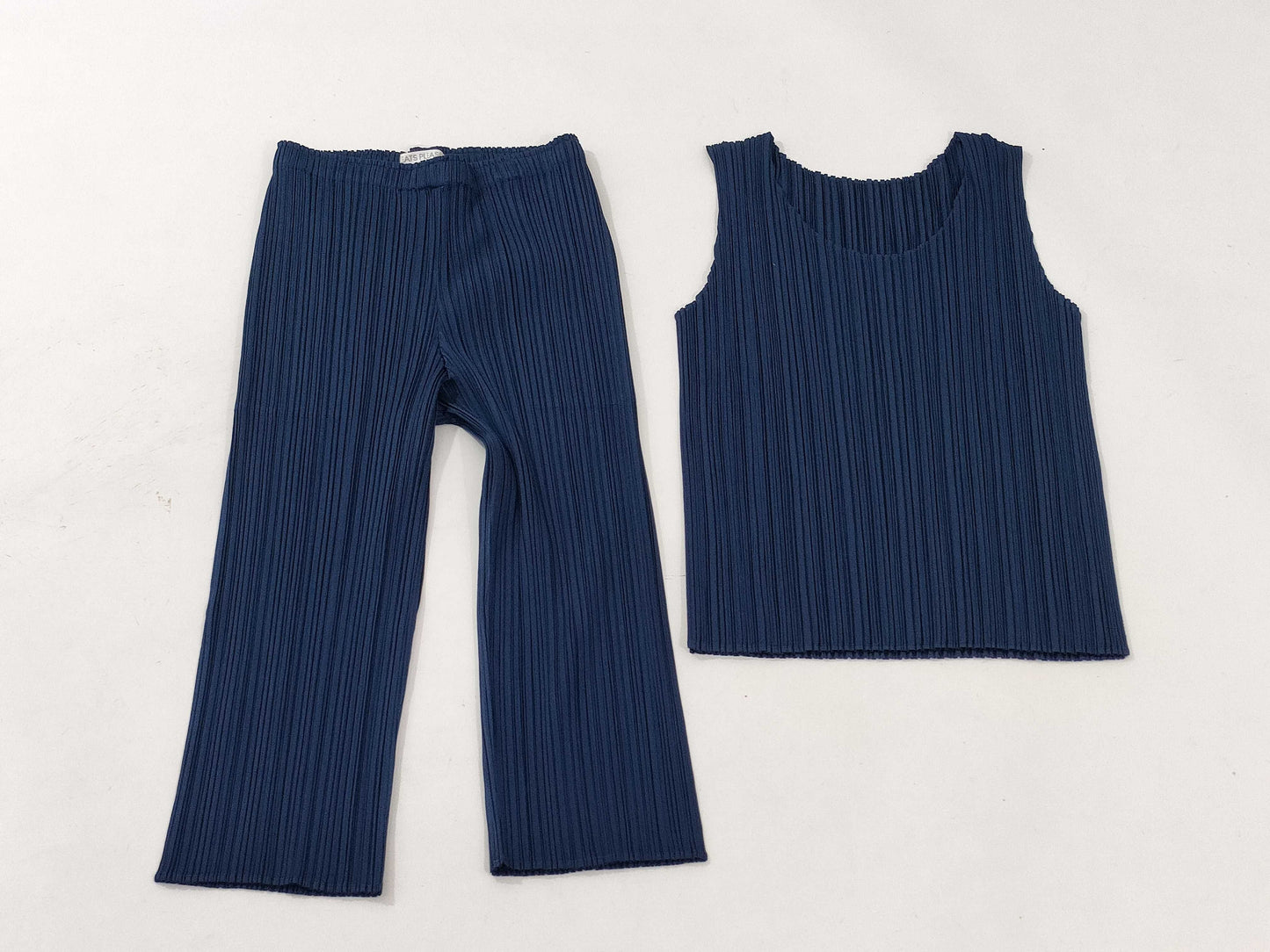 ISSEY MIYAKE Pleats Please Set/Navy Other Apparel