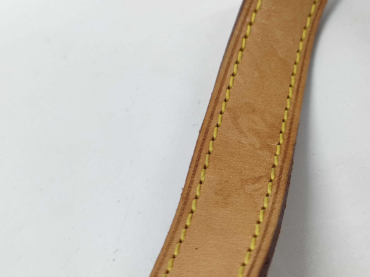 LOUIS VUITTON Vernis Amazon Shoulder Bag