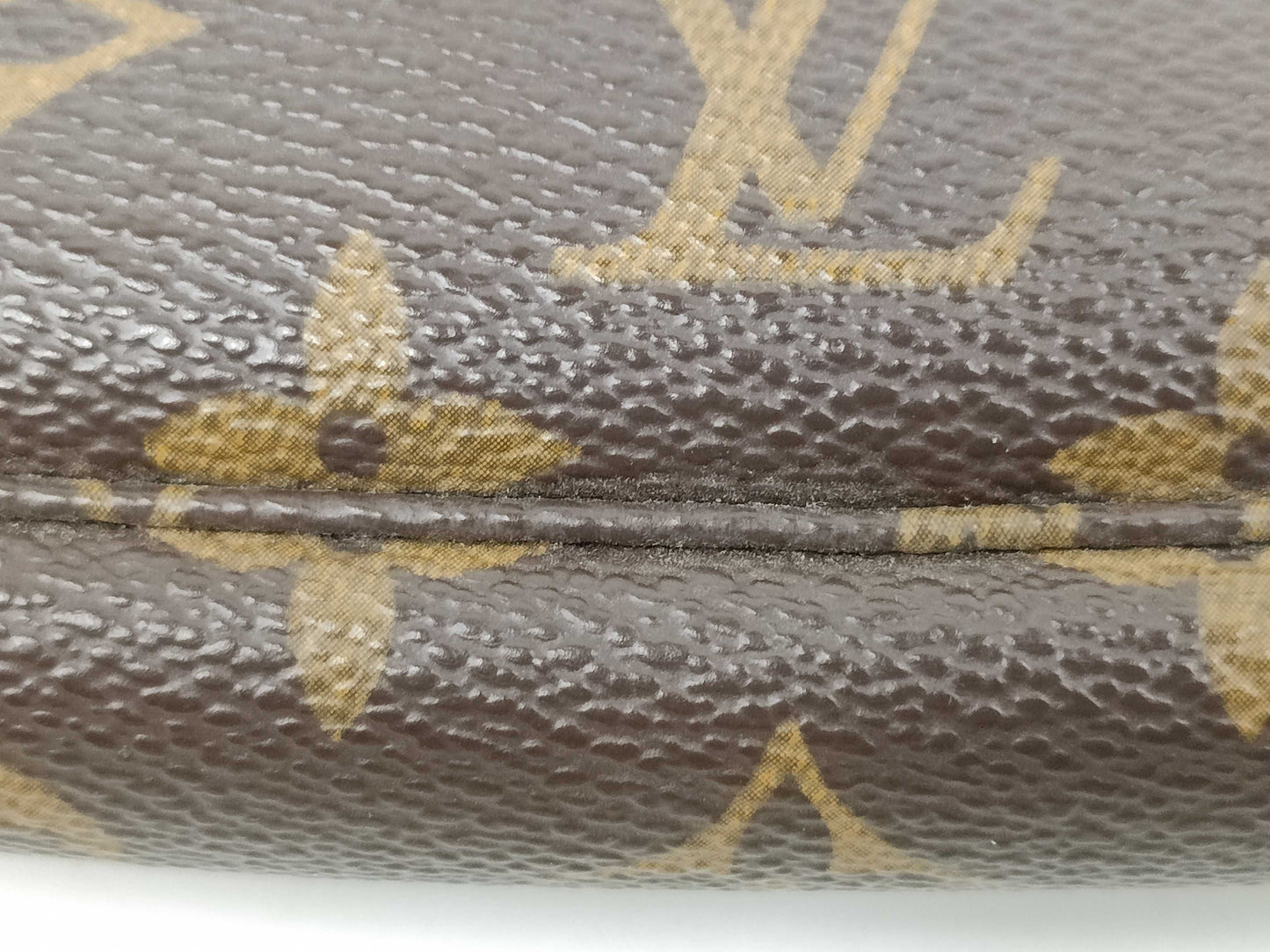 LOUIS VUITTON M51980 Monogram Accessoires Pouch
