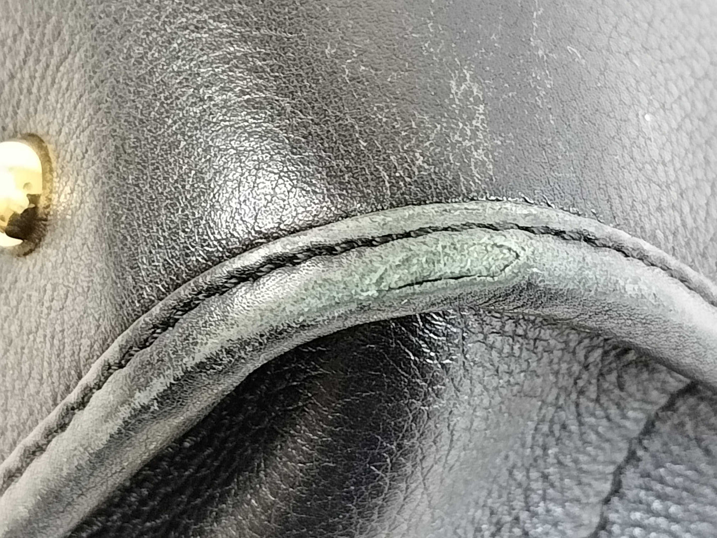 LOEWE Amazona Leather Handbag